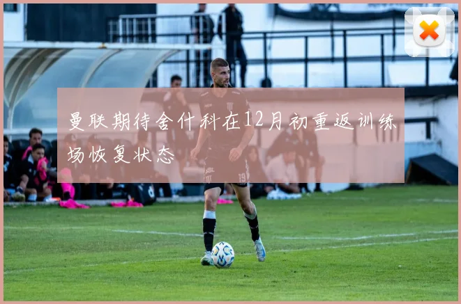 曼联期待舍什科在12月初重返训练场恢复状态