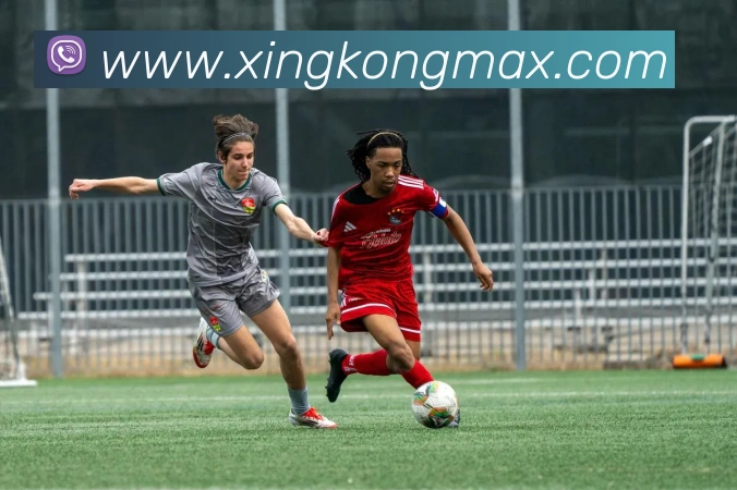 星空体育服务体系